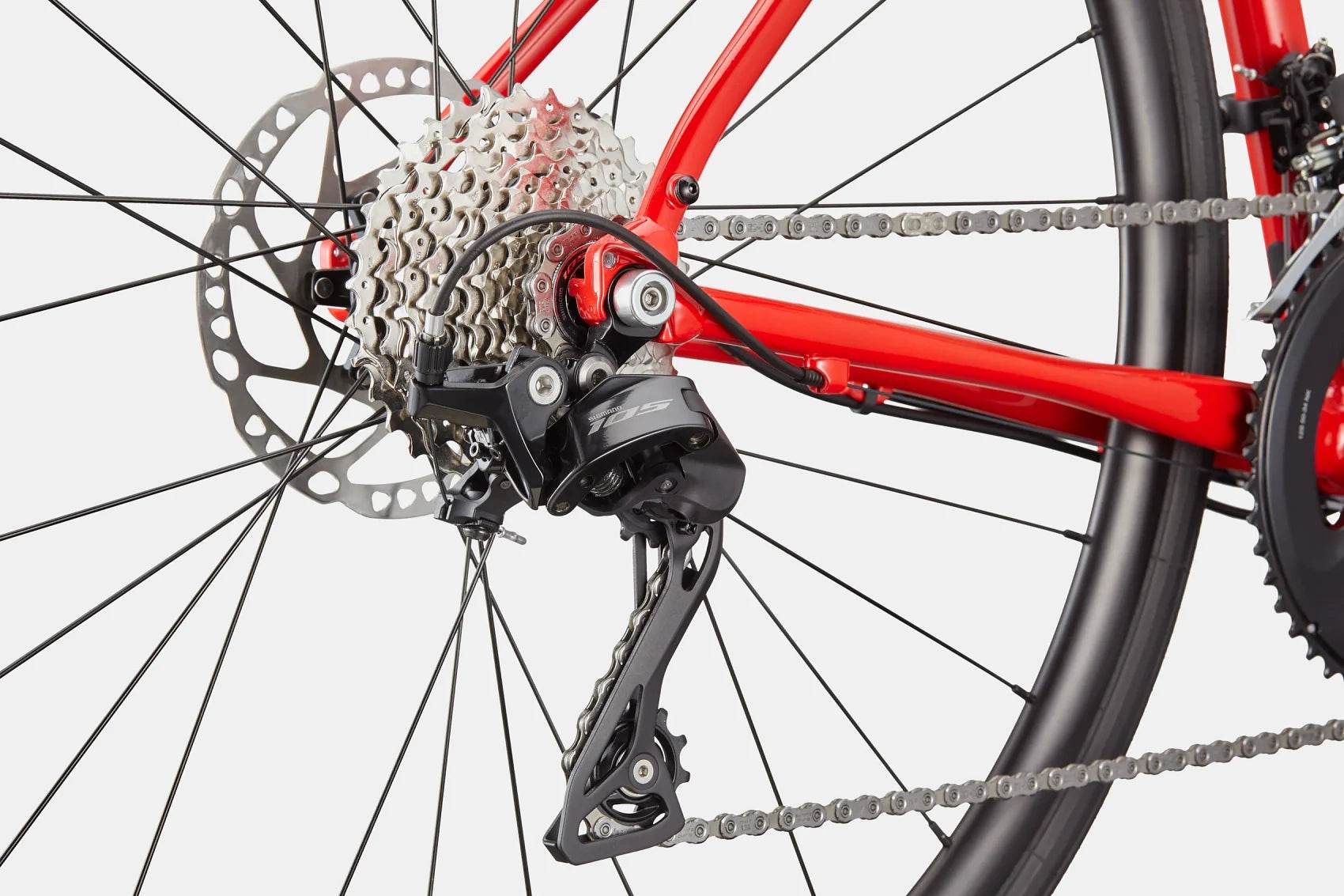 Synapse 1 - Suburban Ski and Bike