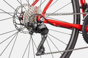 Synapse 1 - Suburban Ski and Bike
