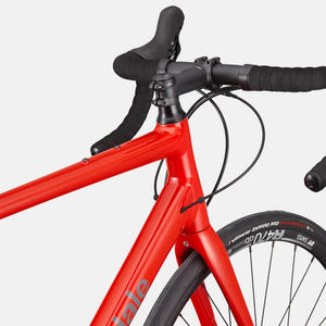 Synapse 1 - Suburban Ski and Bike