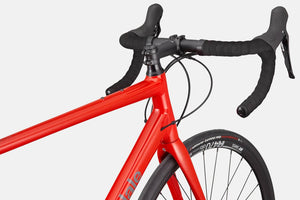 Synapse 1 - Suburban Ski and Bike