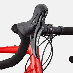 Synapse 1 - Suburban Ski and Bike