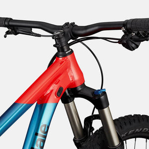 Habit 26 - Suburban Ski and Bike