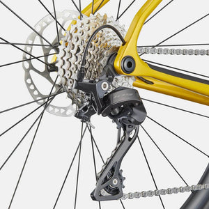 Synapse Carbon 5 - Suburban Ski and Bike