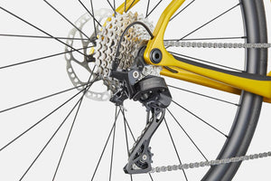 Synapse Carbon 5 - Suburban Ski and Bike