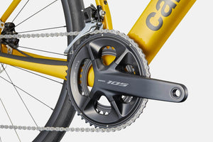 Synapse Carbon 5 - Suburban Ski and Bike
