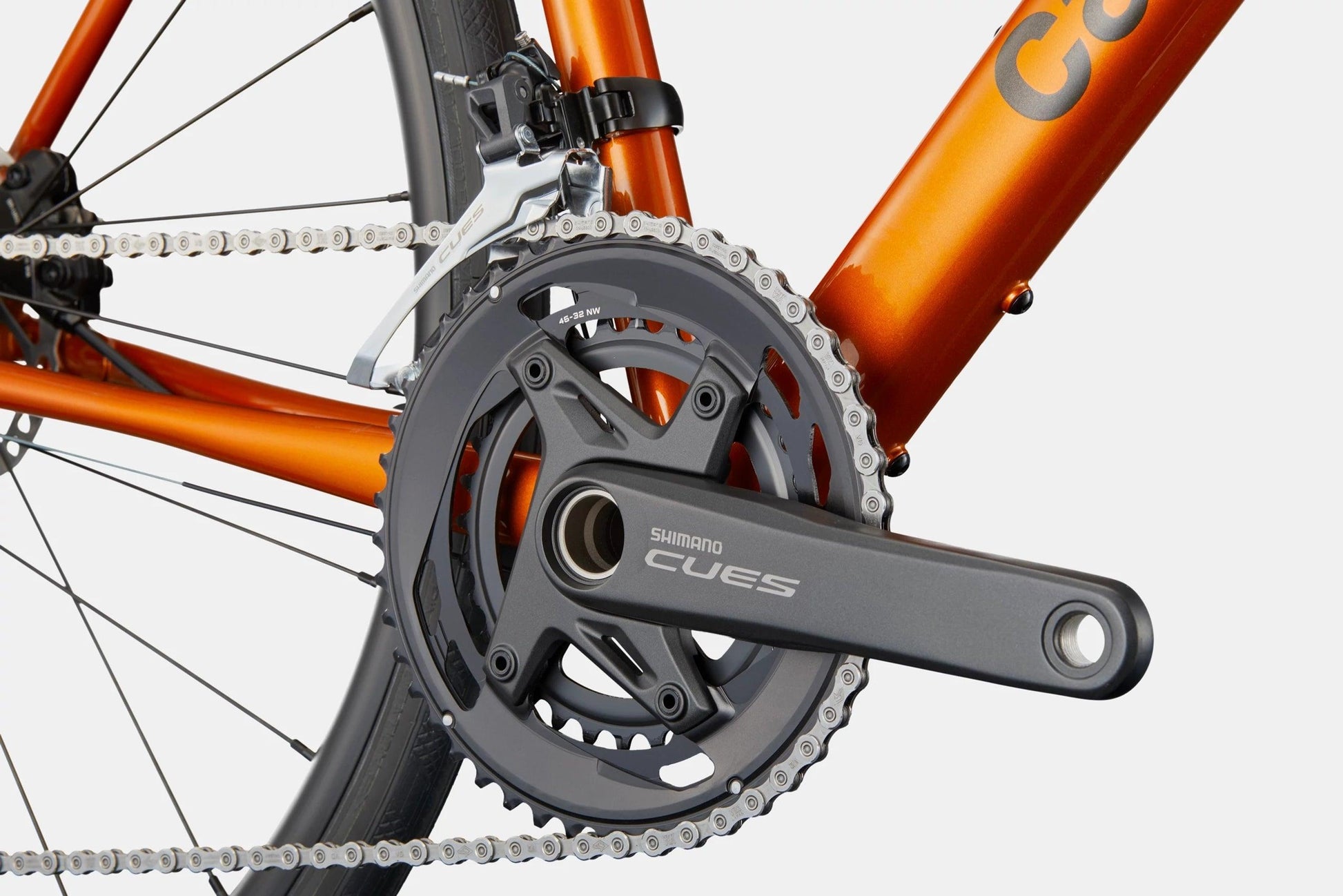 Synapse 2
