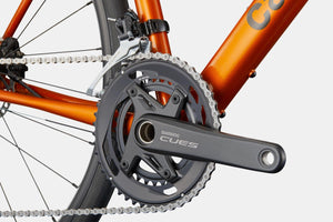 Synapse 2