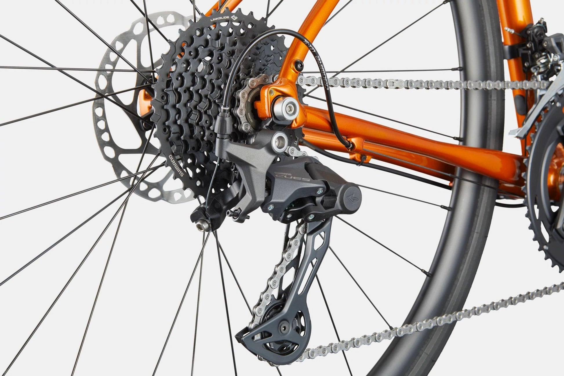Synapse 2