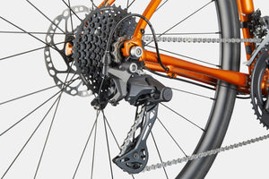 Synapse 2