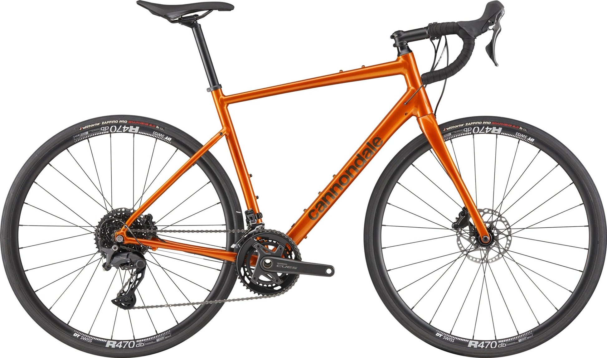 Synapse 2