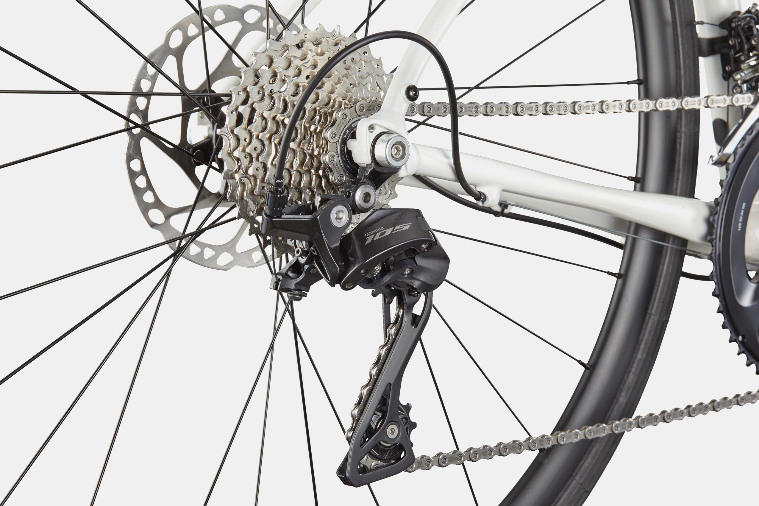 Synapse 1