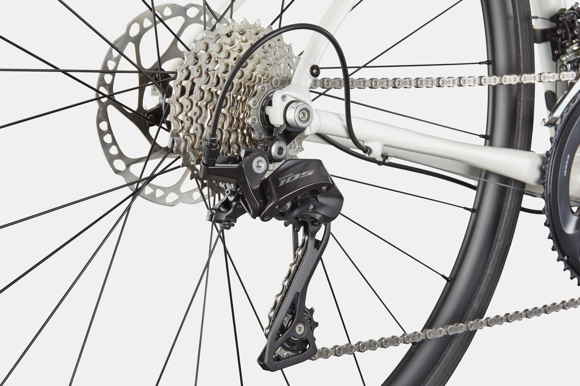 Synapse 1