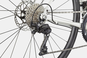 Synapse 1