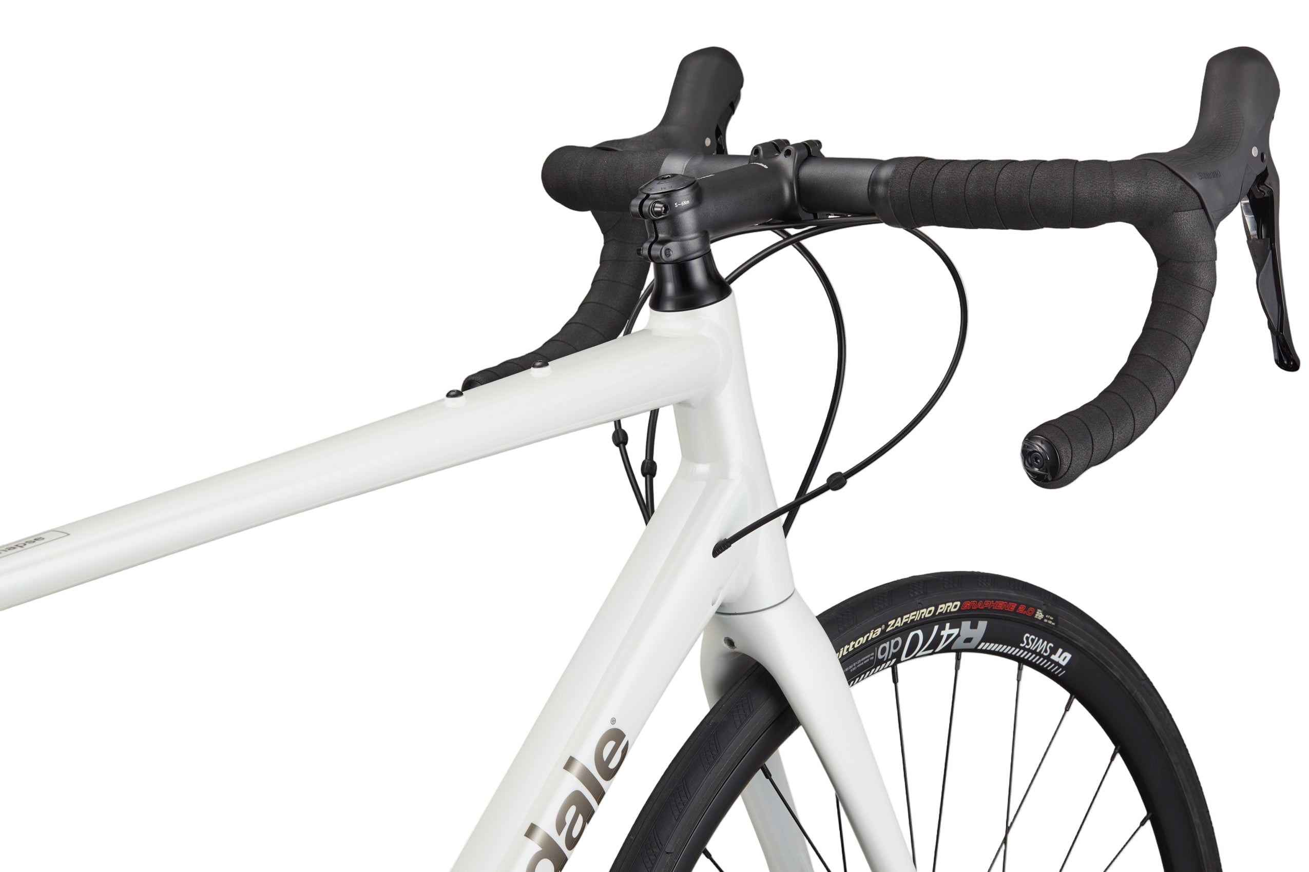 Synapse 1