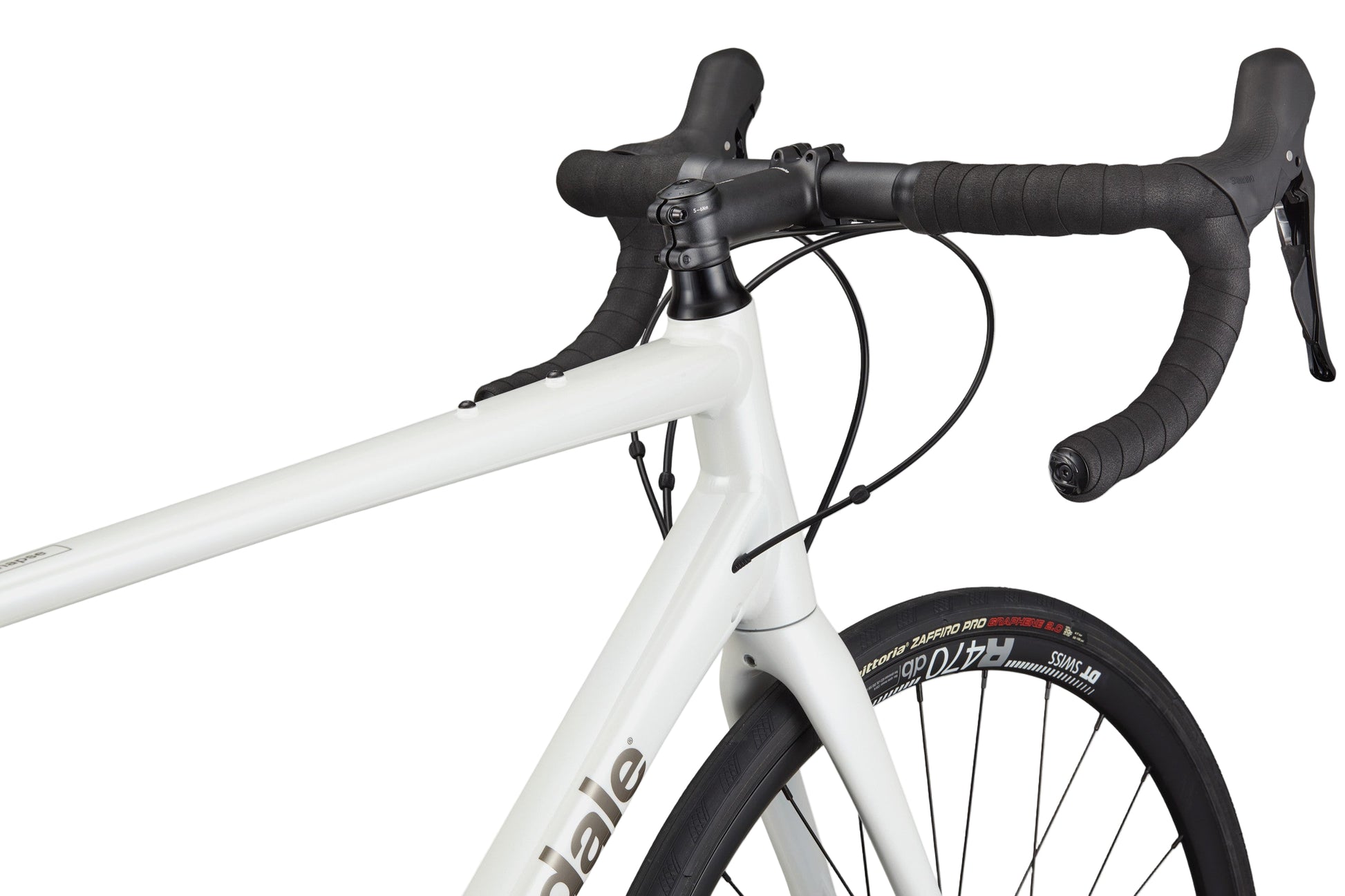 Synapse 1