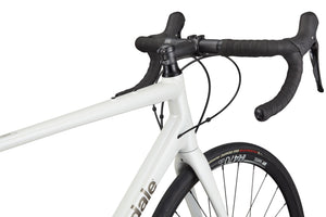 Synapse 1