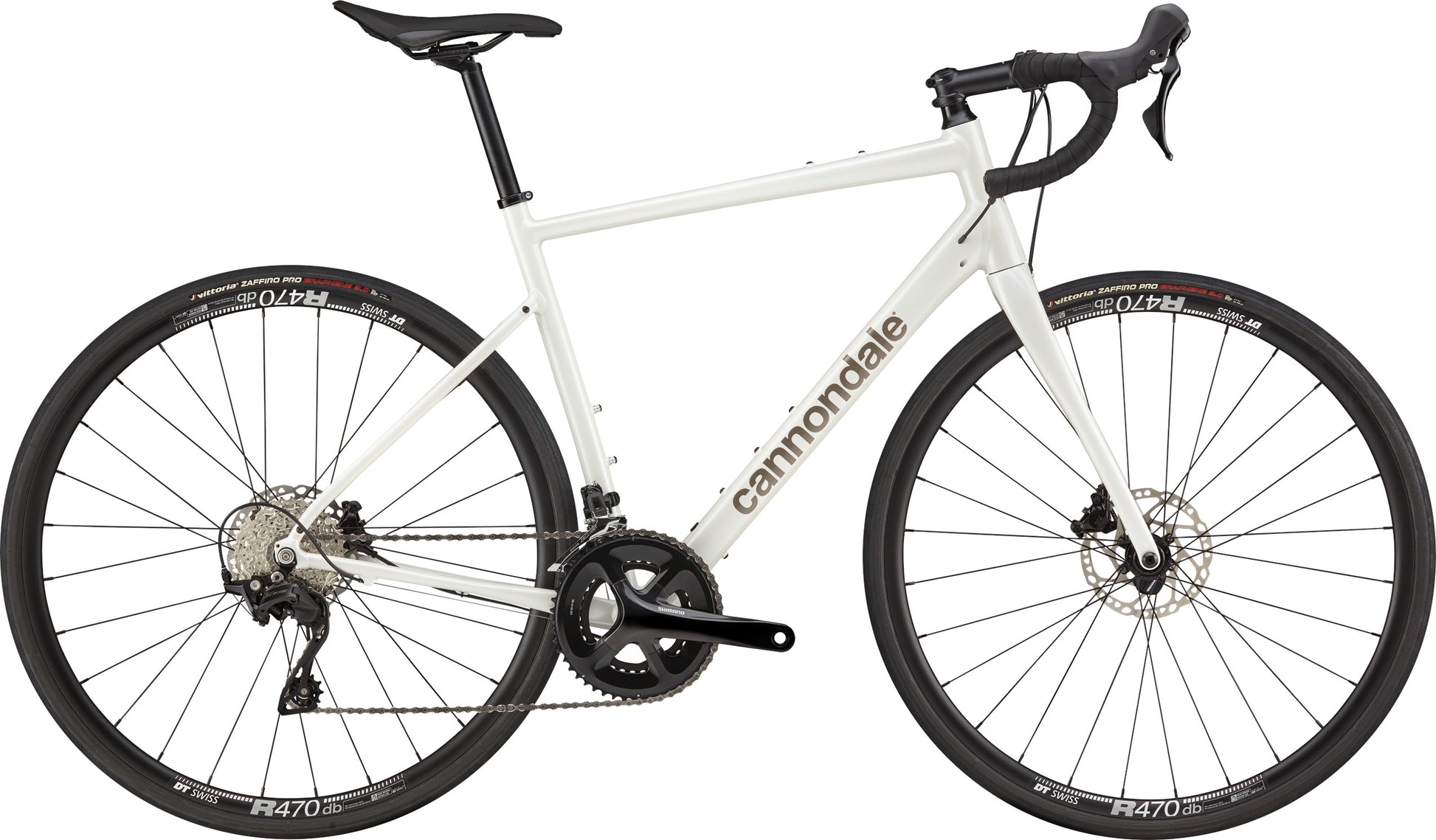 Synapse 1