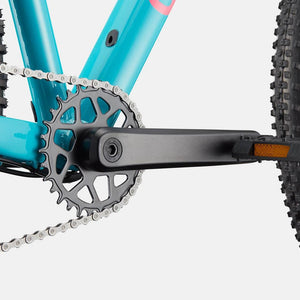 Trail 2 - Suburban Ski and Bike
