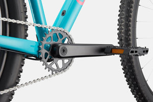 Trail 2 - Suburban Ski and Bike