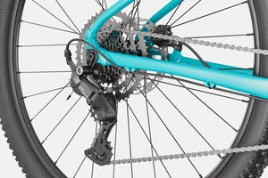 Trail 2 - Suburban Ski and Bike