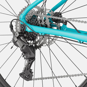 Trail 2 - Suburban Ski and Bike