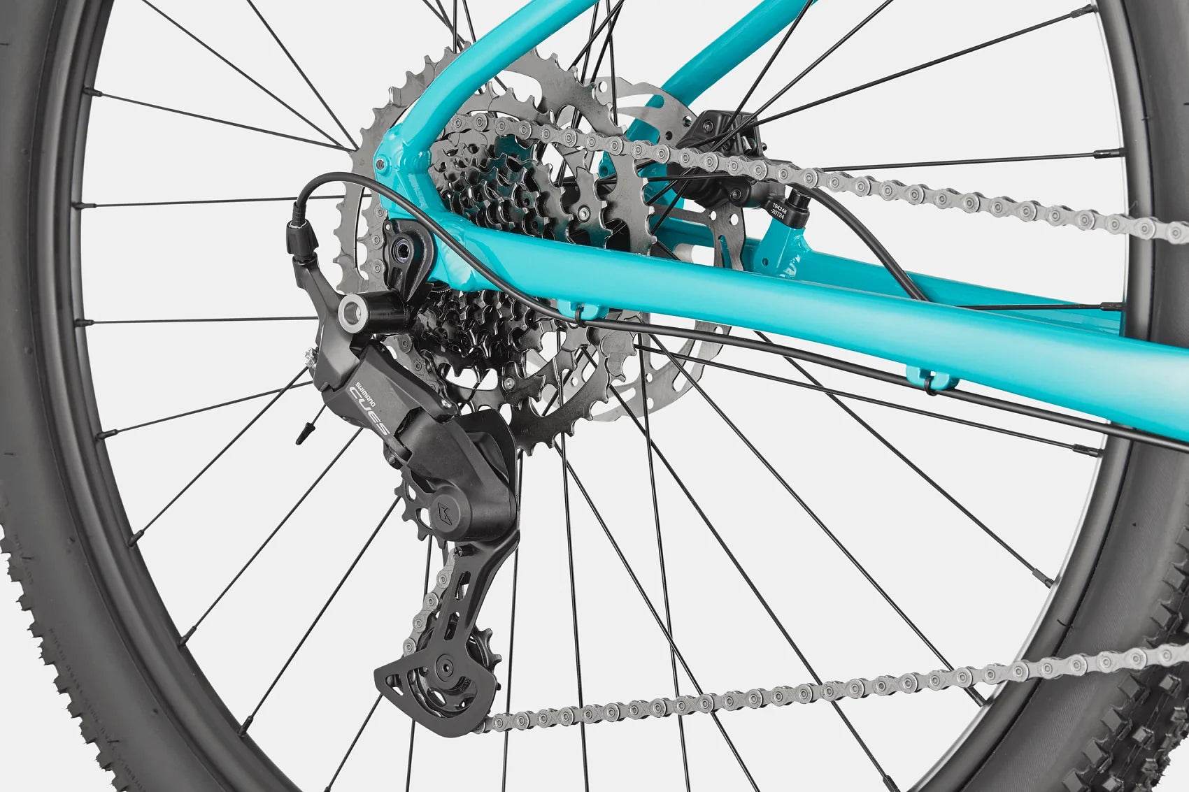 Trail 2 - Suburban Ski and Bike