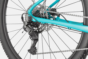 Trail 2 - Suburban Ski and Bike