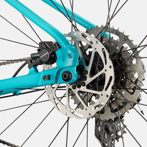 Trail 2 - Suburban Ski and Bike