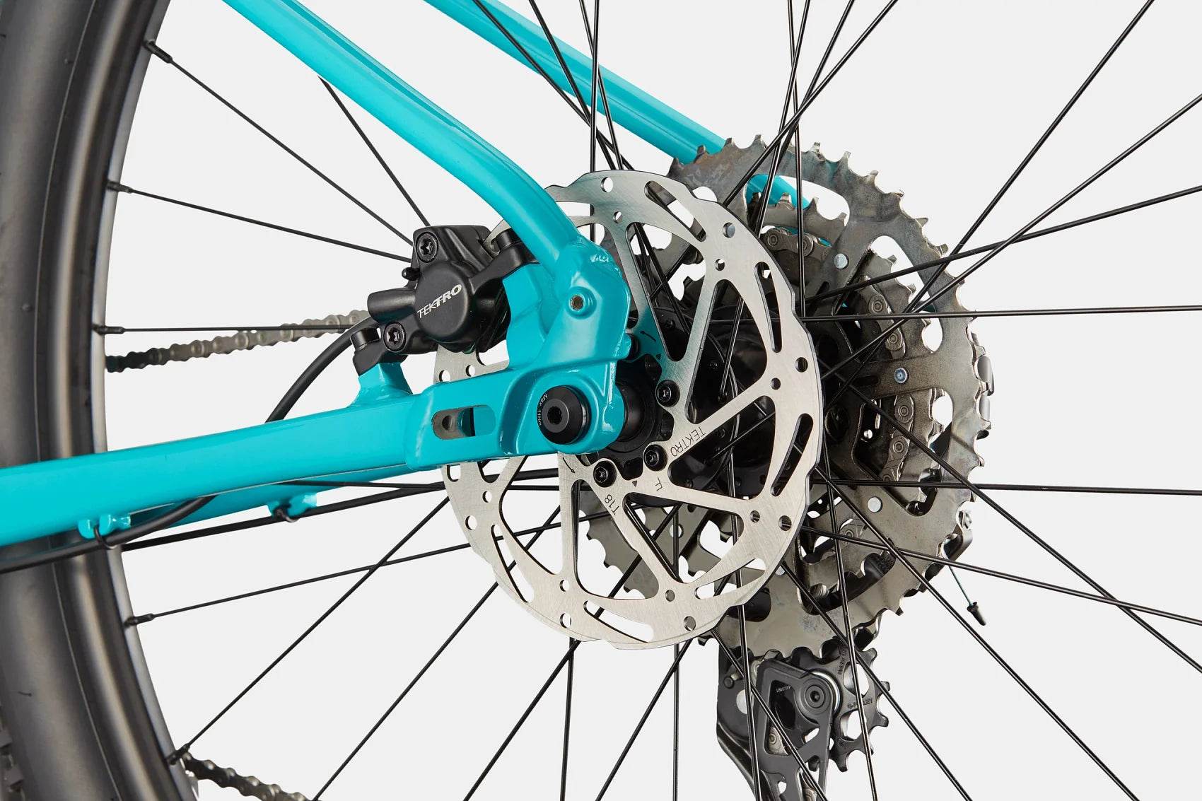 Trail 2 - Suburban Ski and Bike