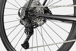 Quick CX 1 - Suburban Ski and Bike