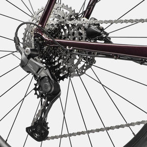 Quick CX 2 - Suburban Ski and Bike