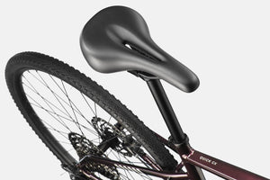 Quick CX 2 - Suburban Ski and Bike