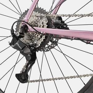 Quick CX 3 - Suburban Ski and Bike