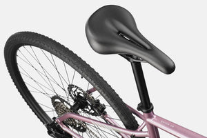 Quick CX 3 - Suburban Ski and Bike