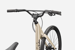 Treadwell 1 Low StepThru