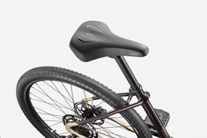 Treadwell 1 Low StepThru