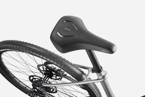 Treadwell 1 Low StepThru