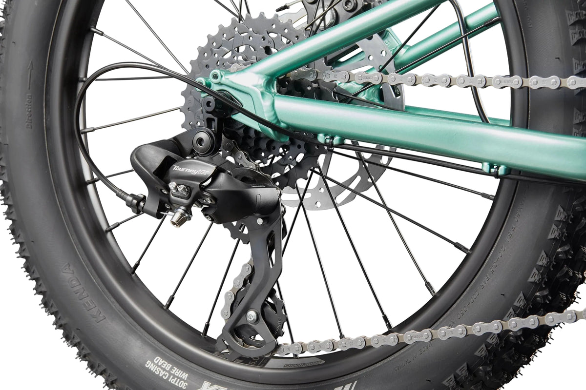 Cannondale Kids Trail Plus 20 Bike