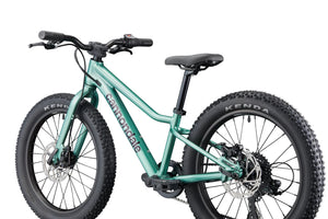 Cannondale Kids Trail Plus 20 Bike