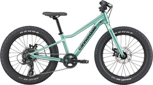 Cannondale Kids Trail Plus 20 Bike