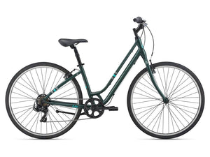 Flourish 4 - Trekking Green - Suburban Ski and Bike