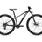 Tempt 29 4 - Black Chrome - Suburban Ski and Bike