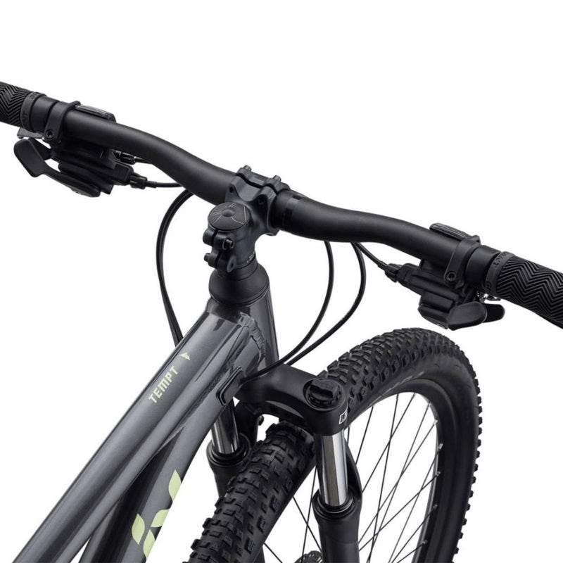 Tempt 29 4 - Black Chrome - Suburban Ski and Bike