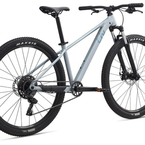 Tempt 29 4 - Nordic Breeze - Suburban Ski and Bike