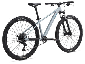 Tempt 29 4 - Nordic Breeze - Suburban Ski and Bike