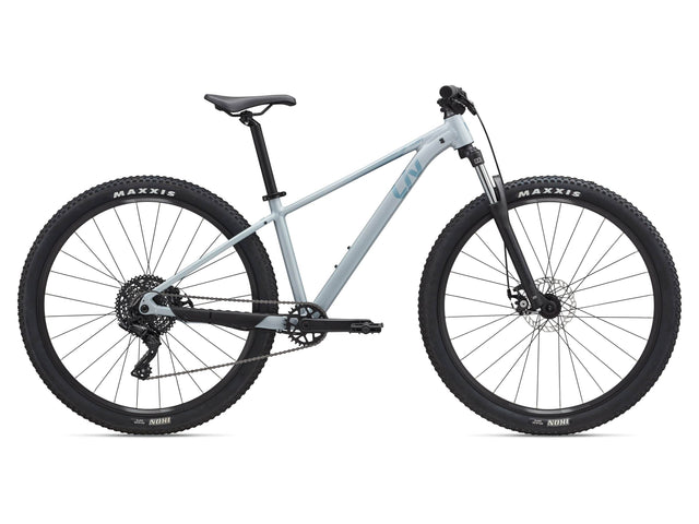 Tempt 29 4 - Nordic Breeze - Suburban Ski and Bike