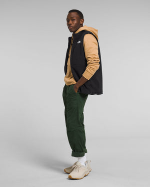 The North Face Men's Apex Bionic 3 Softshell Vest