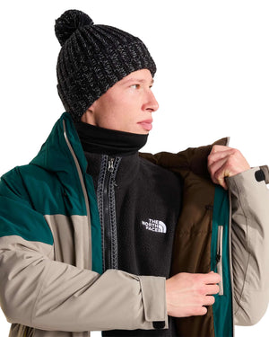 The North Face Men's Freedom Insulated Ski & Snowboard Jacket