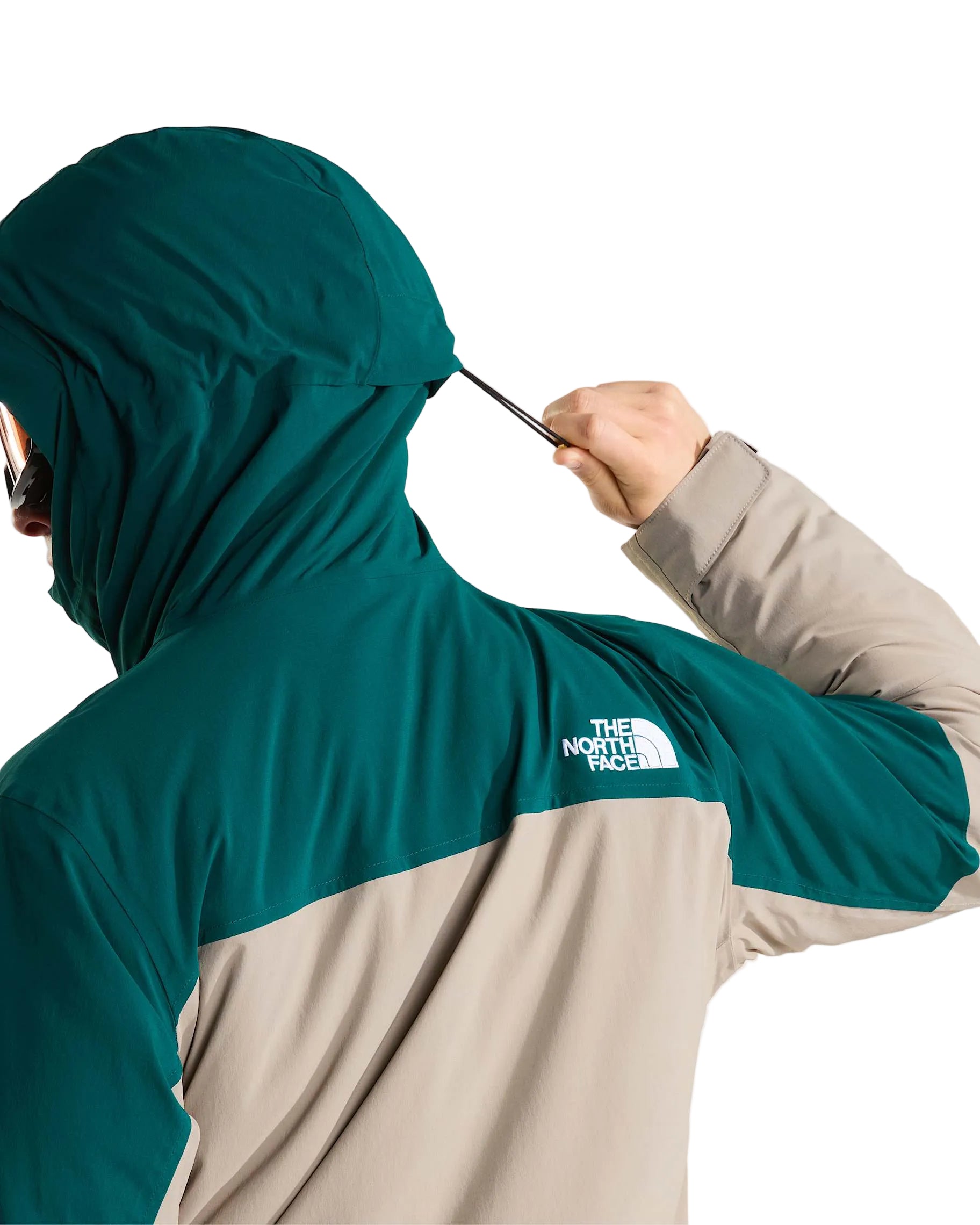 The North Face Men's Freedom Insulated Ski & Snowboard Jacket