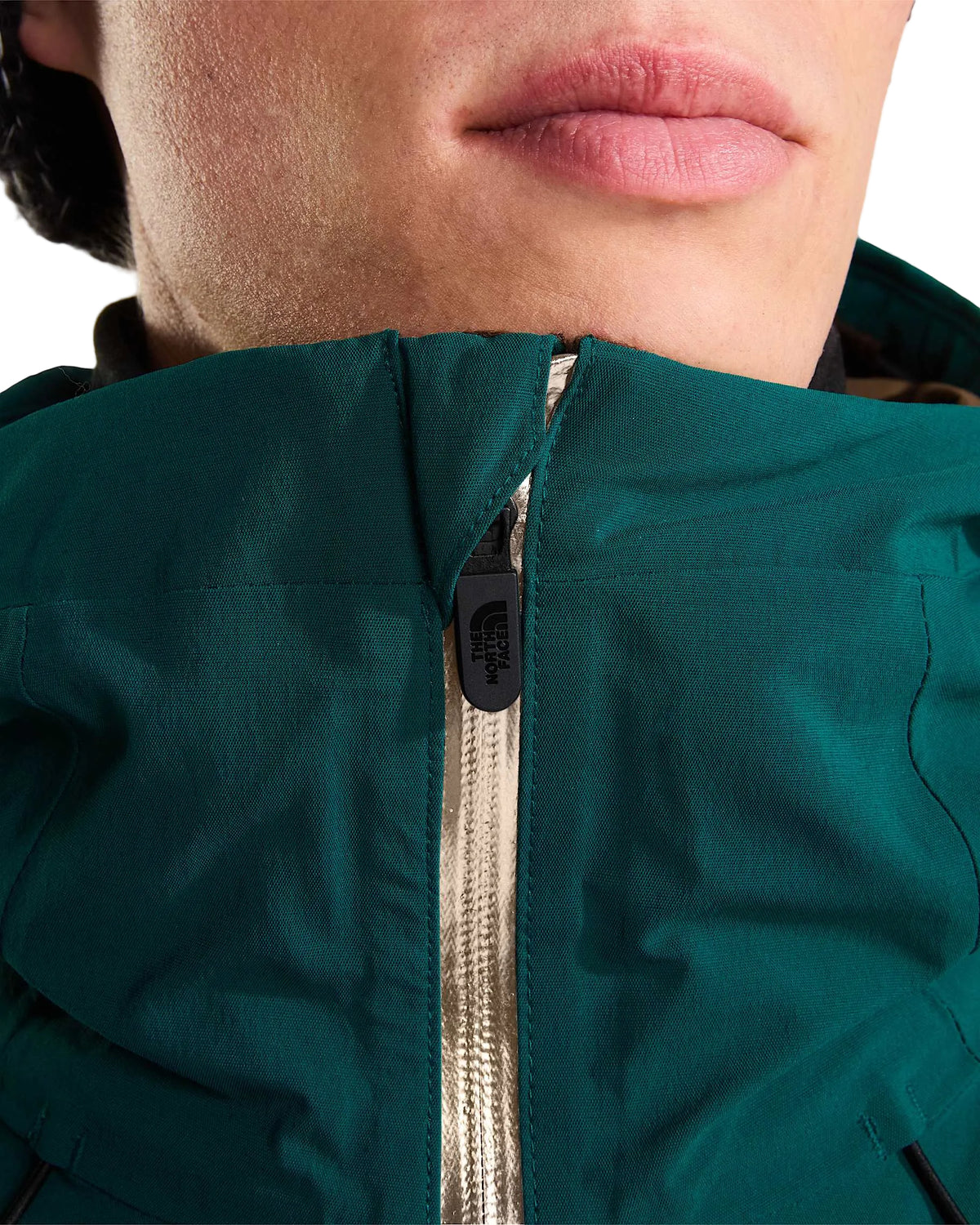 The North Face Men's Freedom Insulated Ski & Snowboard Jacket